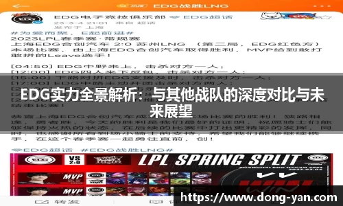 EDG实力全景解析：与其他战队的深度对比与未来展望